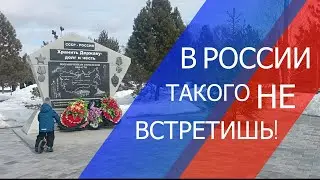 Из Германии в Россию. Болезненное влечение. Какая картошка ? Лето-Лето.
