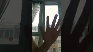 11 мая 2024 г.