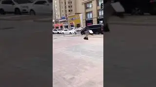 вот это птичка 😮😧