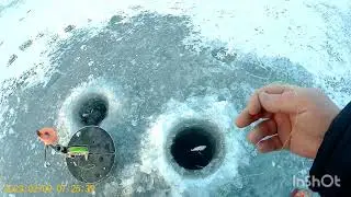 глухозимье .