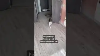 Последняя пристроена 😍 красоточка