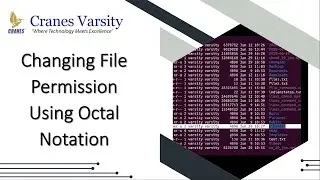 Changing File Permission Using Octal Notation