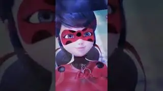 UĞUR BÖCEĞİ İLE KARA KEDİ😍