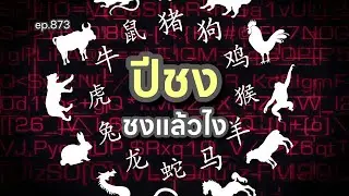 ep.873 #ปีชง ชงแล้วไง #ถอดรหัสชีวิตบนฝ่ามือ โดย อ.พัชนี ตุษยะเดช #ดูดวงออนไลน์