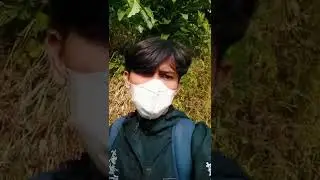Wisata tracking curug leuwi hejo bogor