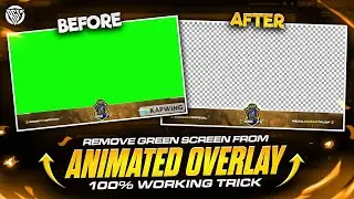 How To Remove Green Screen From Animated Overlay | Mp4 To Gif Converter | Urdu/Hindi | BOSS GFX