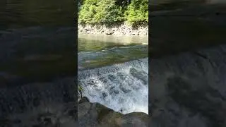 2019 7 13 大豹溪 鴛鴦谷 水勢稍強