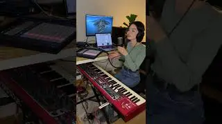 Don't Wake Me Up - Nastka (Live looping with Ableton Push 2 and Nord Stage 3)