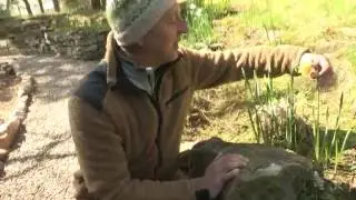 The Findhorn Foundation - Andreas Bauer