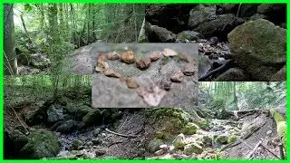 Vlog | Ausflug ins Zipfelbachtal | Wandern im Ländle | nähe  Hepsisau