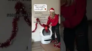 Top Gift Idea for Anyone With a Cat 🎁