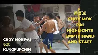 Choy Mok Pai (蔡莫派）highlights - empty hand and staff