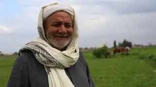 impacTrace Ali Mekled, Behira
