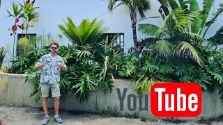 Huge overview of plants in Godoy garden center. Gran Canaria. Beautiful plants and ceramics.