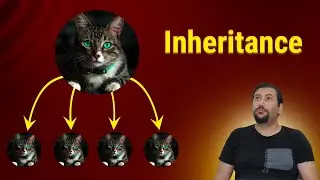 C# Inheritance Explained: With Asp.net Core entities example