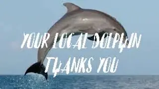 Stop Dolphin Porn