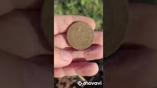 Осень..#старина #хобби#увлечение#ходим бродим ишем Клад-Фараона в тайге😁