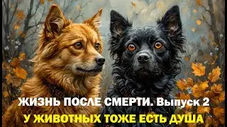 Жизнь после смерти. Выпуск 2: У животных тоже есть Душа!..