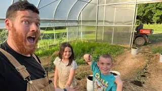 Let’s Add Some Compost To The Sweet Potato Slips