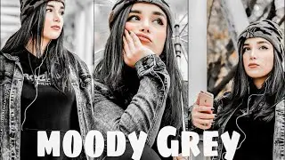 Moody Grey - Lightroom Mobile Presets DNG | Mobile Lightroom Tutorial | Premium Presets