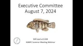 Executive Committee Proceedings August 2024