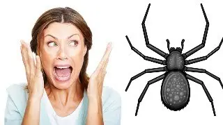 Use These 8 Genius Hacks and You Will Never See Spiders Again in Your Home.