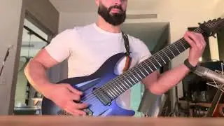 Aristides 080s 8 string guitar demo