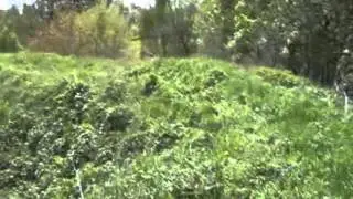 Ігар Корзун / Маштабнасць маленькай рэчкі