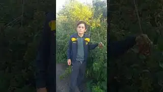Малина радует)))