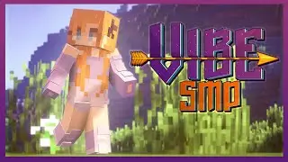 The Beginning of THE VIBE SMP
