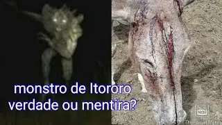 suposto monstro que apareceu entre rio do meio e Itororo, verdade ou mentira