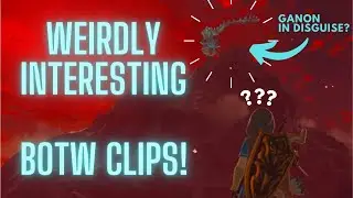 Weirdly Interesting BOTW clips! | Fails and funny moments