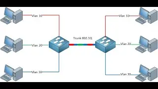 Configuring trunk ports