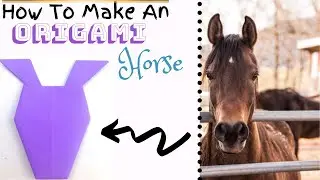 How To Make An Origami Horse