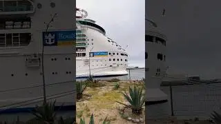 Navigator of the seas #subscribe #cruise #youtubeshorts