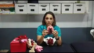 COMO CONTRAER EL SUELO PELVICO  DIFERENCIANDO LA VAGINA DEL ANO