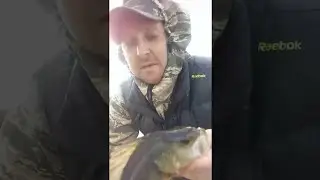 Окунь на вертушку.👍 Рыбалка в Карелии. Онего 