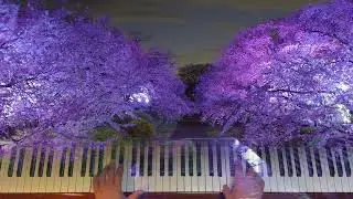 Perspective Ryuichi Sakamoto