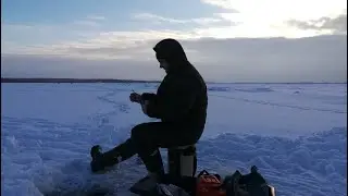 27 12 20.Отчет за неделю или  "падение орла и сокола".+бонус