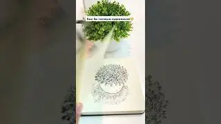 Эх не в то время родился 😢