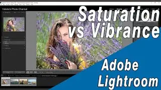 Using Vibrance and Saturation in Lightroom