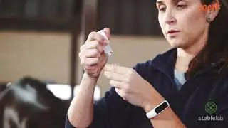 Stablelab: Velocidade e precisão em suas mãos.