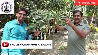 My pleasant moments in the lap of nature # Natural Beauty of a Mango Garden #AbdusSalamMondol