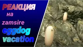 [РЕАКЦИЯ на zamsire]🤓eggdog vacation