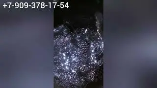 Газель Камминз, а что там "плавает" в поддоне?