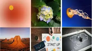 How to use css filter blur effect for website development | html and css