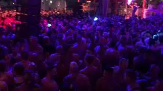 ROSABEL Winter Party 2018