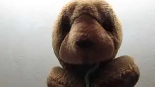 Tube it Tube it! Cute Otters Doing It!