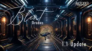 AUDIOFIER: BLENT4 - 1.1 Update - Kontakt Library