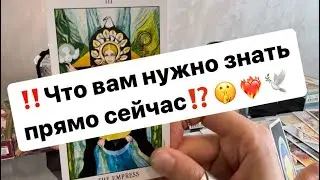 ‼️Что вам нужно знать прямо сейчас⁉️❤️‍🔥🤫🕊️